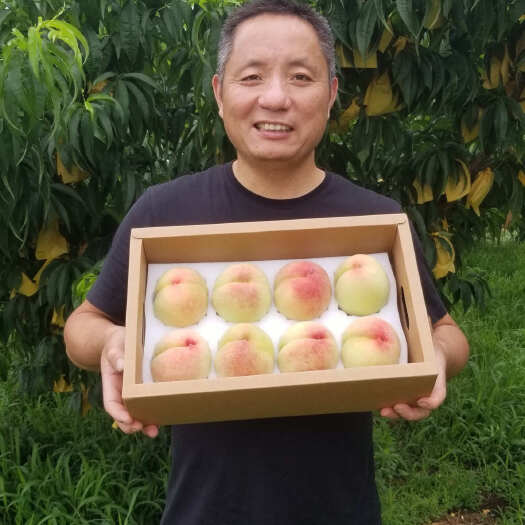 包邮慈风无锡阳山水蜜桃现摘新鲜爆汁桃子孕妇儿童老人白凤礼盒