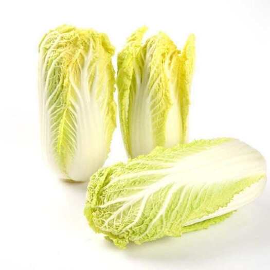 湖北宜昌长阳娃娃菜 新鲜叶菜类蔬菜 可供港澳