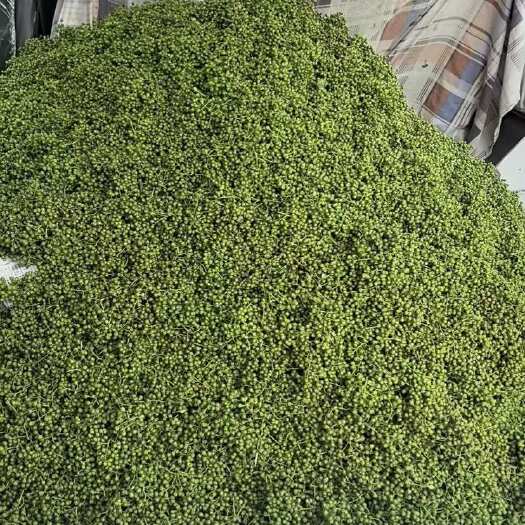 荆门本地青花椒土花椒五月椒六月椒