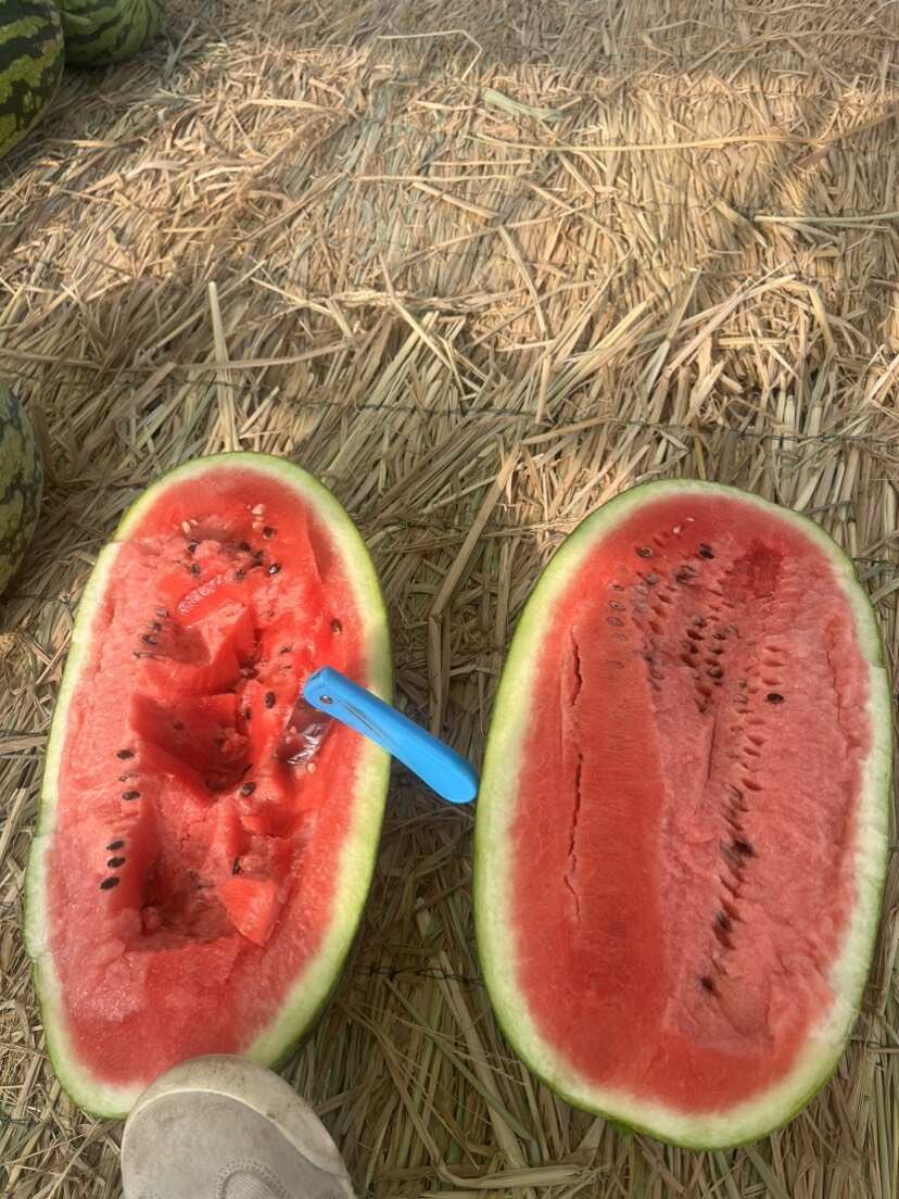 广西富来仕一手货源,大产量供应市场,电商平台