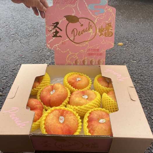 蒙阴黄金彩虹油蟠桃黄金油蟠桃脆甜新鲜采摘批发量大从优