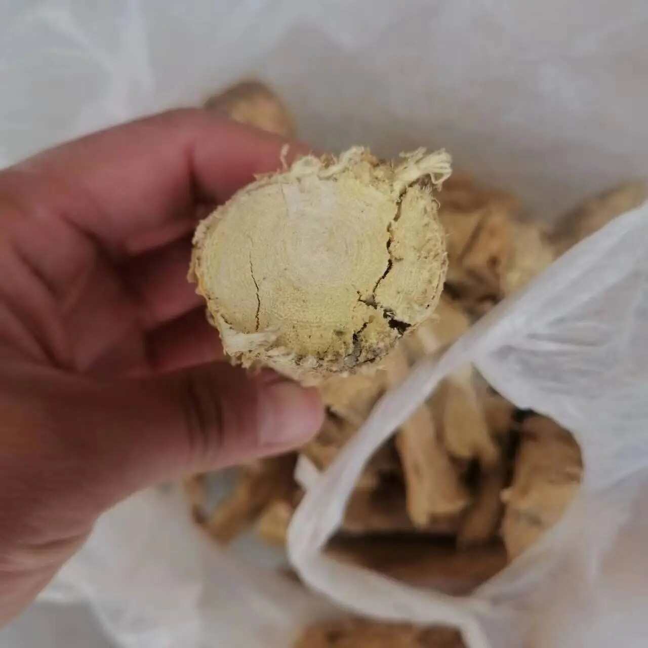 皂角树根皂角根皮优质皂角刺树根天丁皂角刺根皂荚根