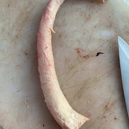 漳州牛心管，牛黄喉，量大价优