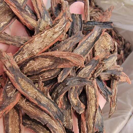 安国市丹参选货 发货丹参 泡茶 2斤包邮 量大优惠