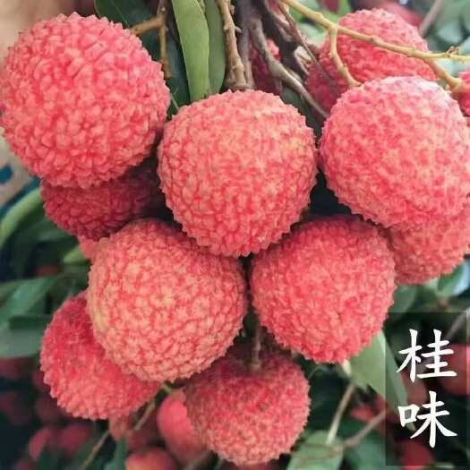 桂平市桂味