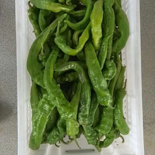 合肥螺丝椒