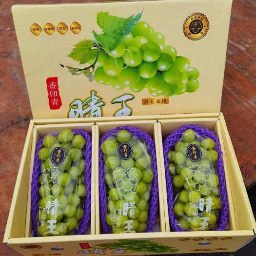 砀山县安徽阳光玫瑰葡萄 产区直发 包邮