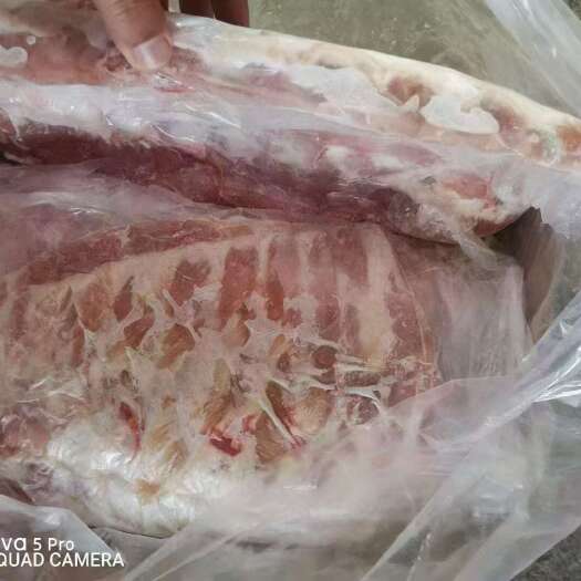 临沭县肥猪肋排4-6片