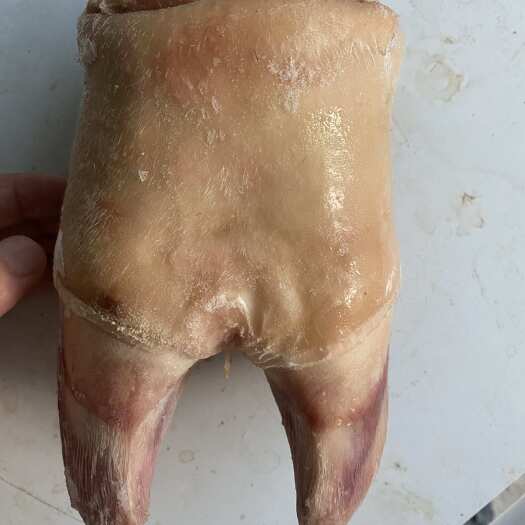 漳州处理干净的牛蹄，量大价优