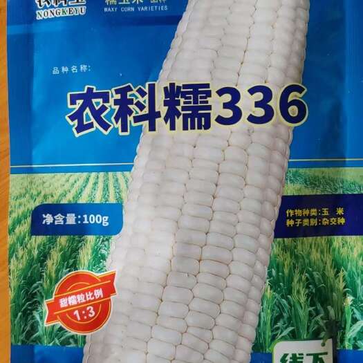 岑巩县单个1斤以上