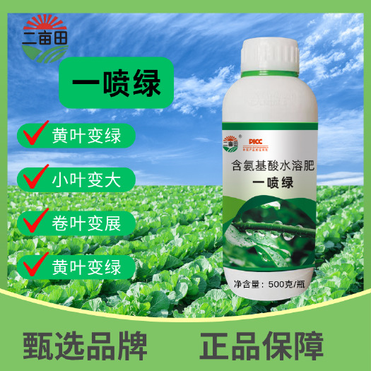 邯郸含氨基酸叶面肥一喷绿，快速增绿，病叶，黄叶一喷绿，叶面黄化
