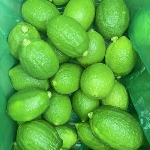 深圳香水柠檬
