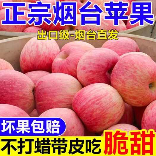 栖霞市山东烟台红富士苹果新鲜苹果脆甜当季应季水果一整箱丑苹果包邮