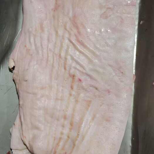 沂南县国产肥猪带皮五花肉10公斤箱装的，345片