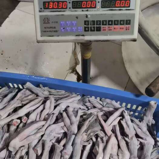 佛山新鲜鹅脚便宜出