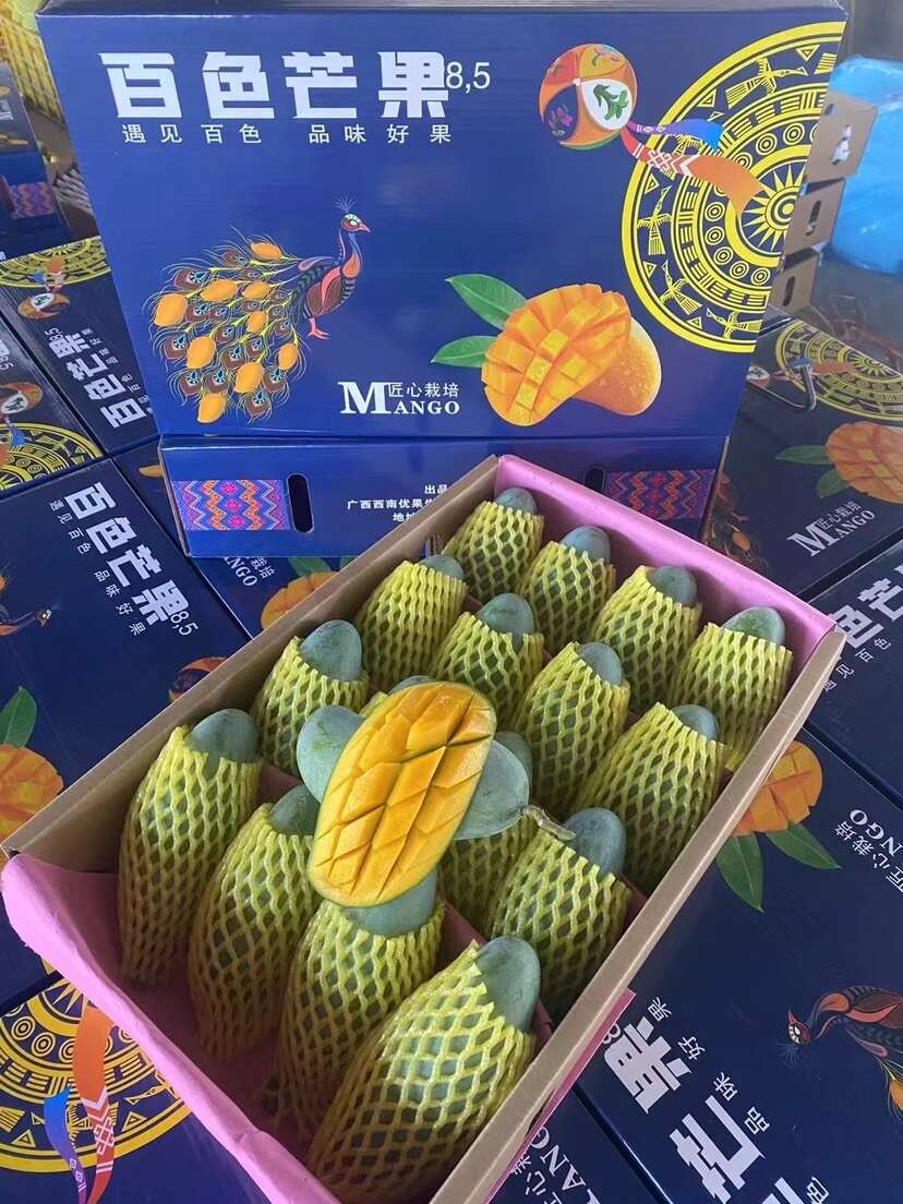 广西百色金煌芒新鲜热带水果芒果批发直供接个大电商平台团购