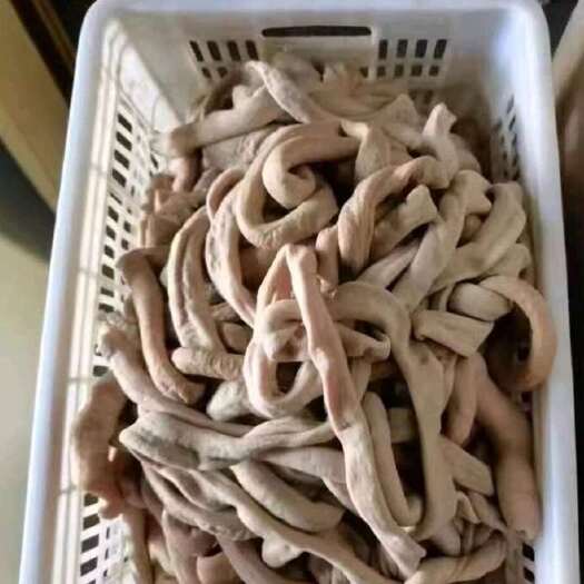 济南牛圆肠，中油，8成熟，出成高