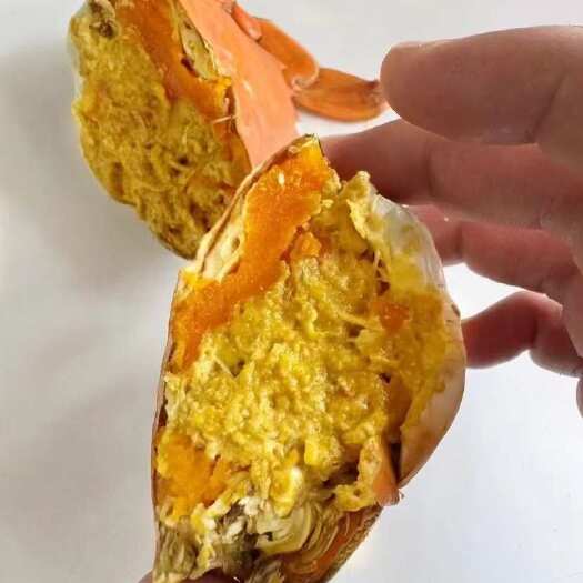 头手膏油蟹7成油黄油蟹