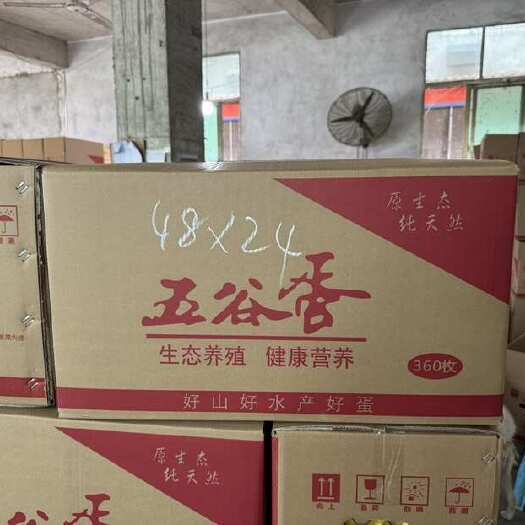 隆回县湖南邵阳隆回县黄金井蛋厂，中码饲料黄心鸡蛋60-75克