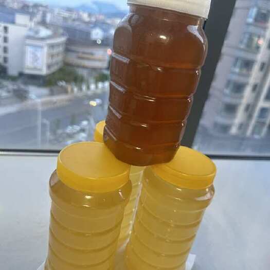 吉水县家里养野生蜂蜜