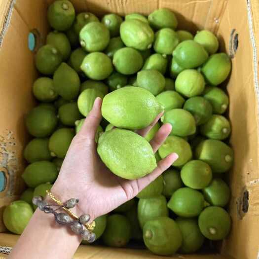 大理市香水柠檬（来一波）电商果