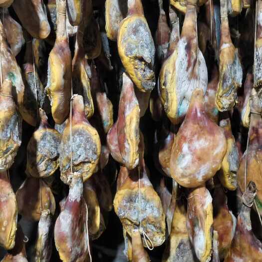 昆明云南老毛腿