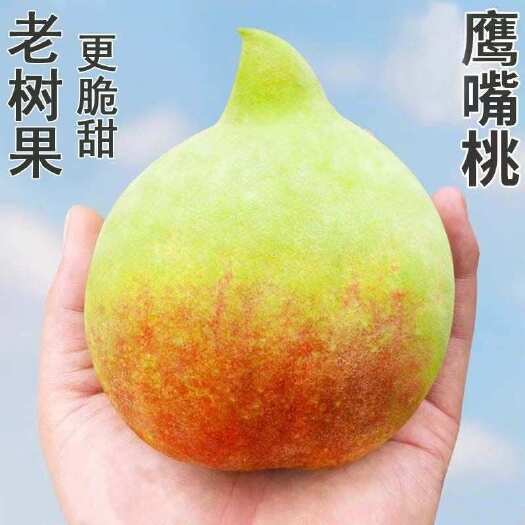 寻乌县【鹰嘴桃】卷价格一件代发/现货 合做滴滴！