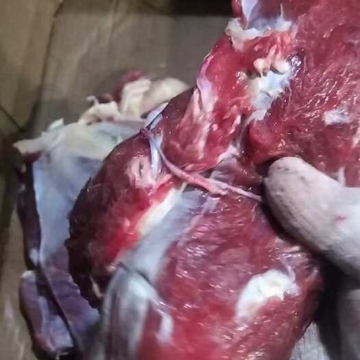 阳信县大块牛碎肉