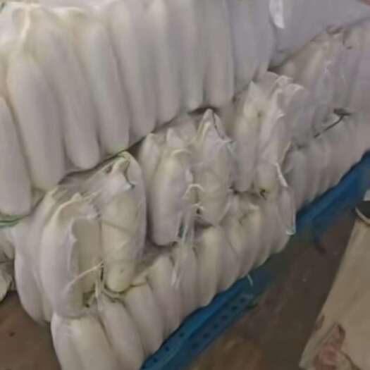 靖边县陕西精品白萝卜，大量上市，