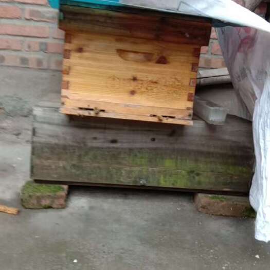 犍为县家养土蜂蜜