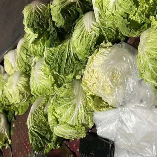 邯郸白菜批发