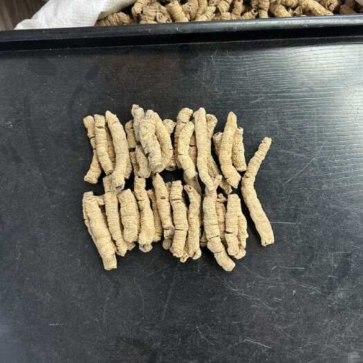 昆明云南昆明官渡巴戟中药材根茎类产地直供