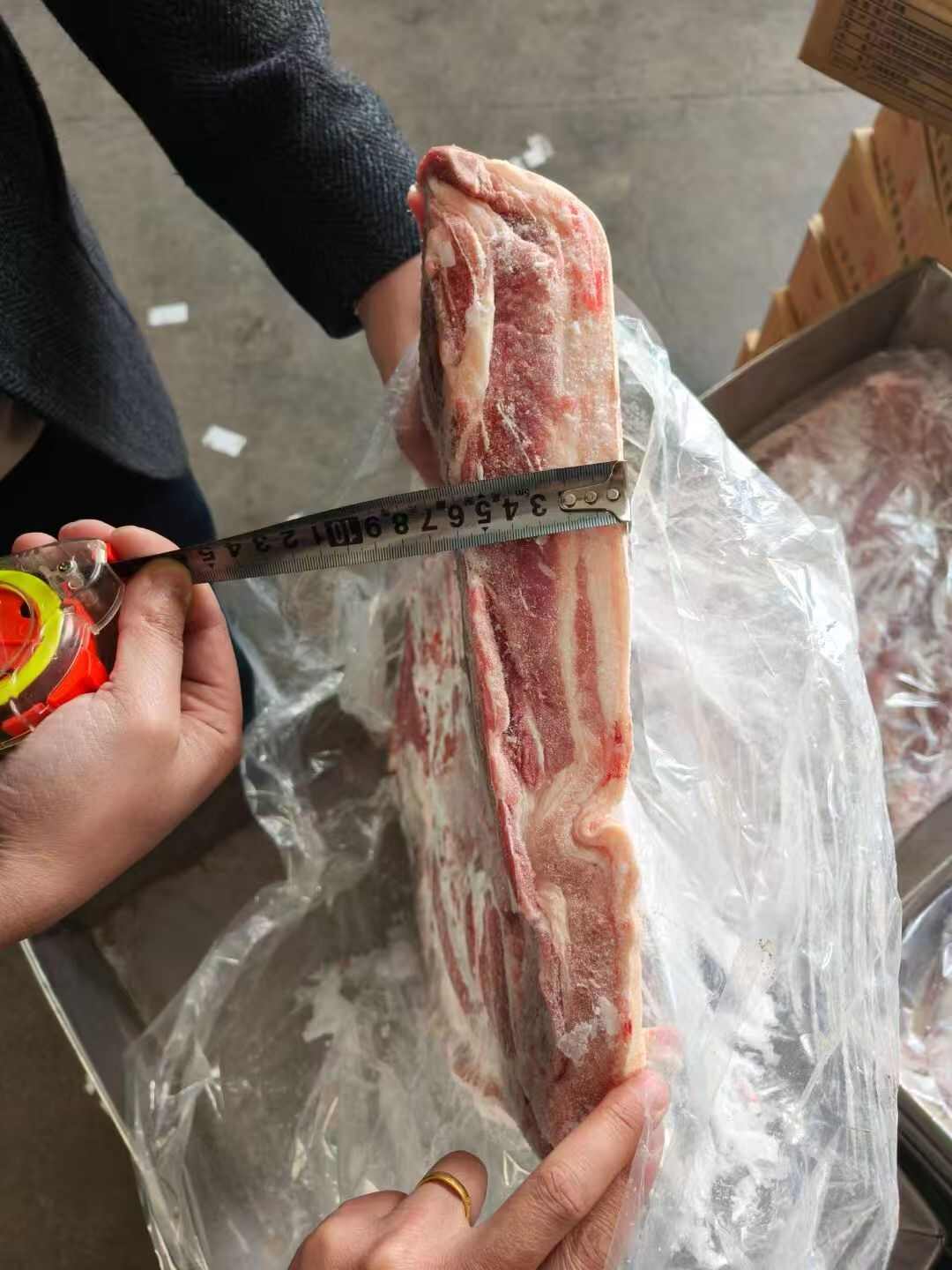 出售，后备母一级带皮五花压板  整车量大  新开检