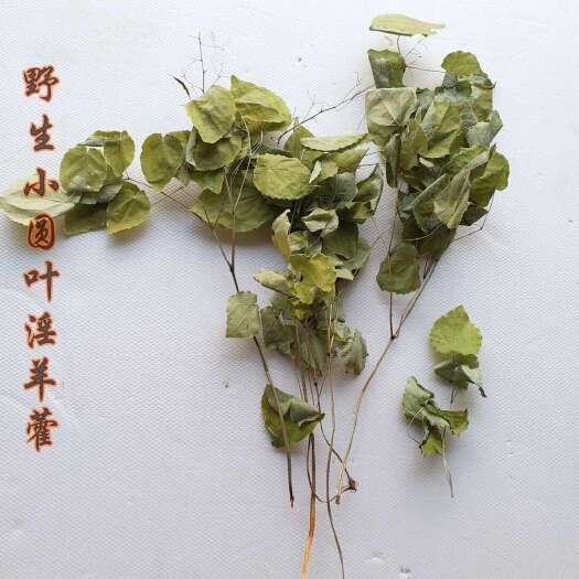 额济纳旗淫羊藿甘肃陇南小圆叶淫羊藿 含量高 三支九叶草壮仙灵脾阳