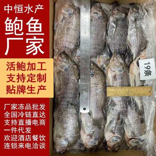 东山县三去罗非鱼 8斤19条装 新鲜速冻餐饮商用罗非鱼冻品批发