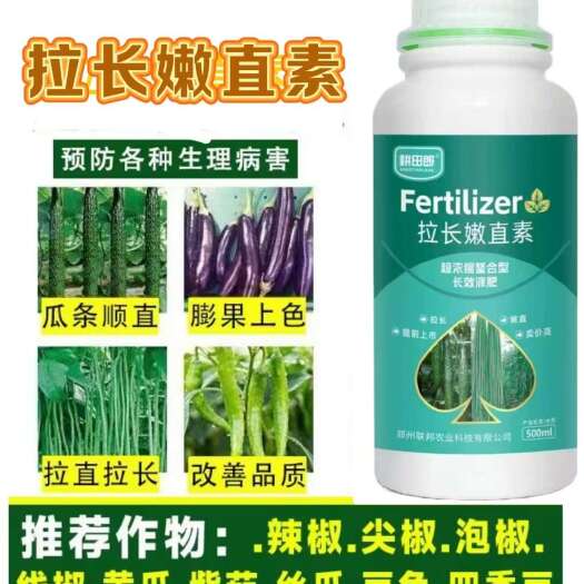 潍坊拉长嫩直素，瓜条顺直，膨果上色，拉长拉直，