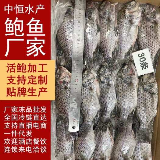 东山县三去罗非鱼 8斤30条装 鲜活加工冷冻水产供应批发