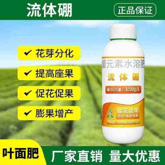 潍坊流体硼  促进花芽分化 提高座果率 减少畸形