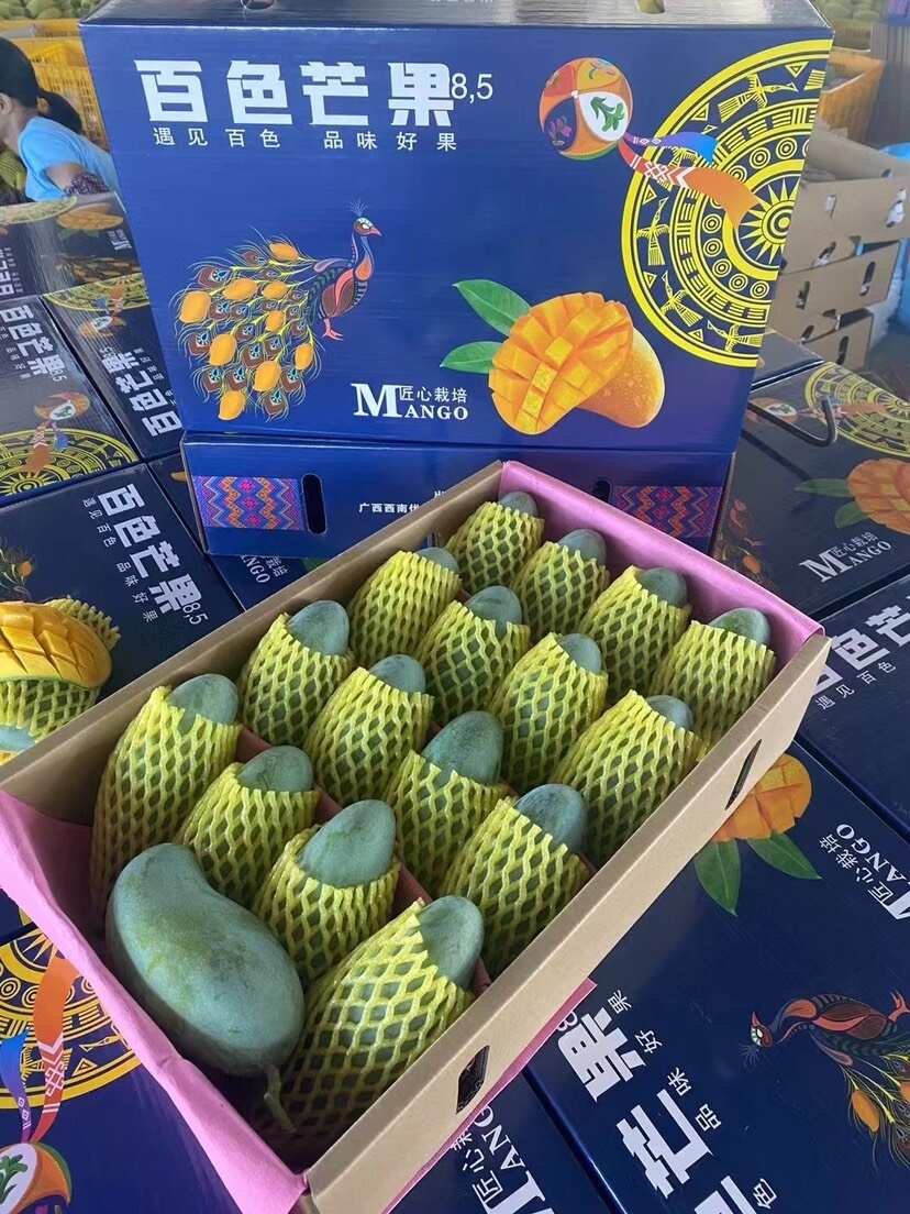 广西百色金煌芒新鲜热带水果芒果批发直供接个大电商平台团购