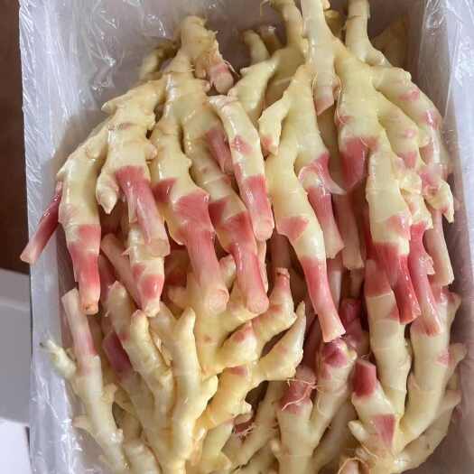 重庆市大量生姜