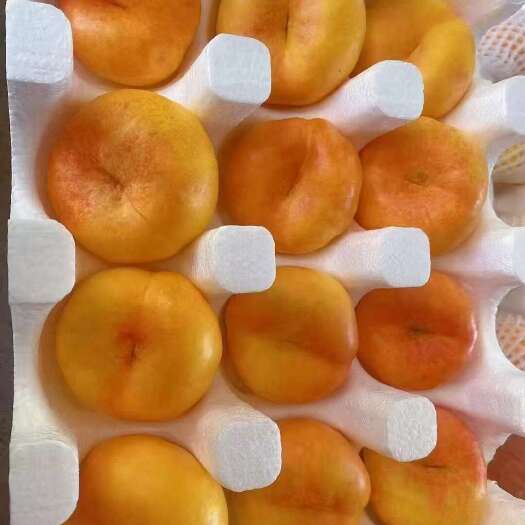 枣阳市湖北枣阳蟠桃，潘九，潘七，自己家园子，电商一件代发，可以调货