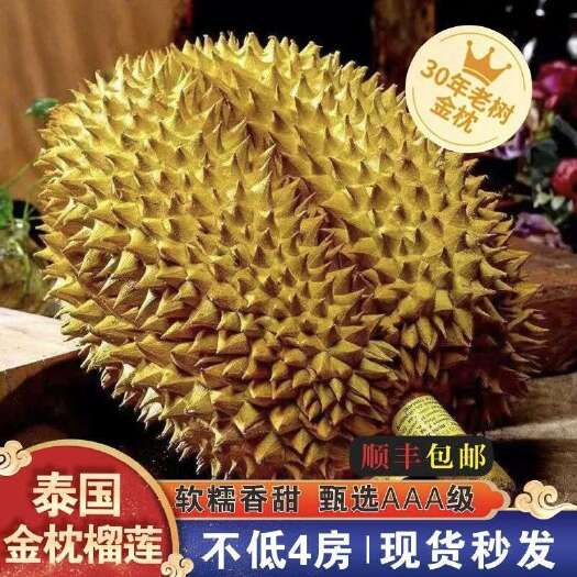 昆明顺丰金枕头榴莲新鲜泰国应当季新鲜榴莲整箱带壳水果整个鲜果