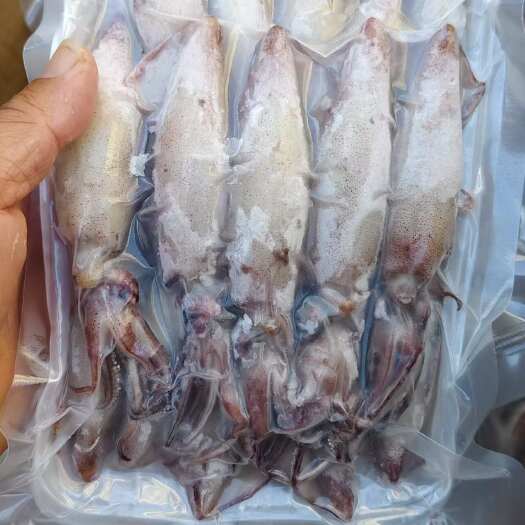 熟冻全籽鱿鱼