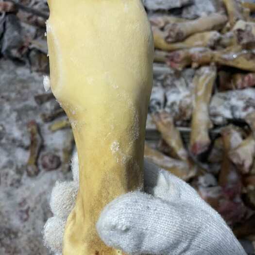 庆云县清真火烧牛蹄批发