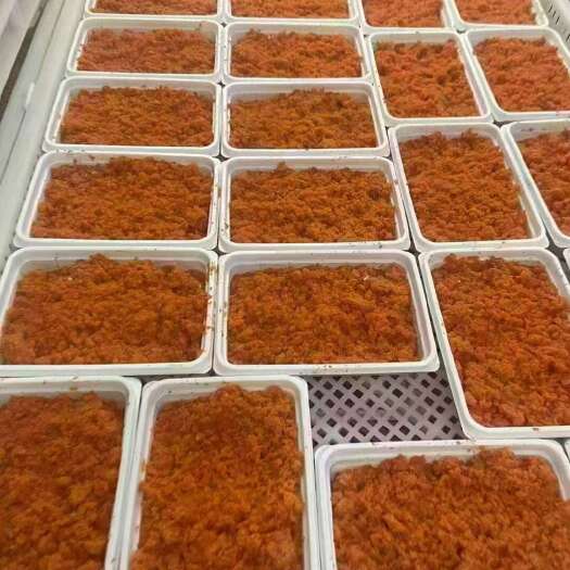 东港市人工海胆肉  厂家直销
