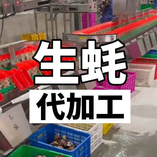 连云港【￼￼生蚝代加工】乳山生蚝山东生蚝辽宁生蚝三倍体净化蚝批发加