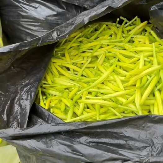 祁东县新鲜黄花菜，药菜，纯干黄花菜，大量供应，原产地祁东县直发
