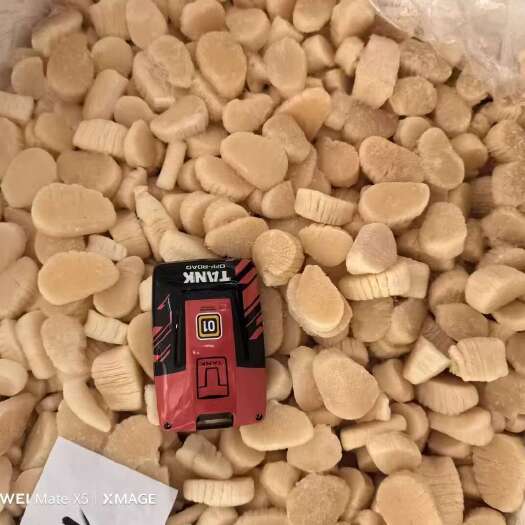 东港市精品贝柱，厂家直销价格实惠