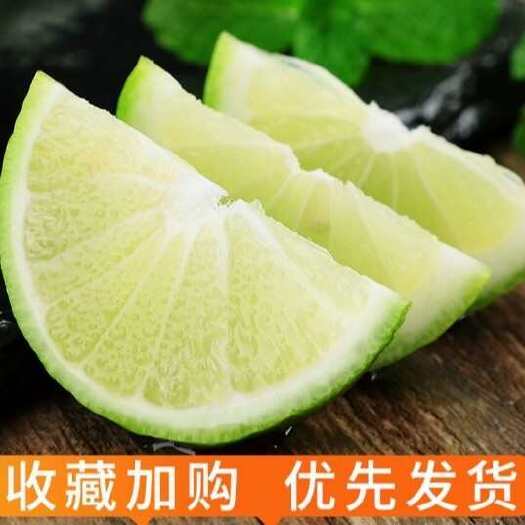 肇庆广东香水柠檬