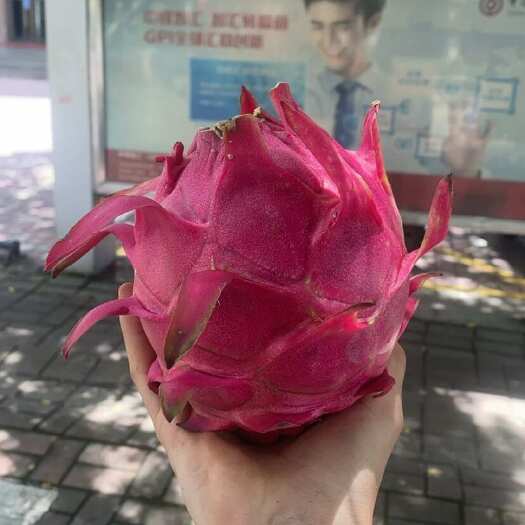 红心的，火龙果